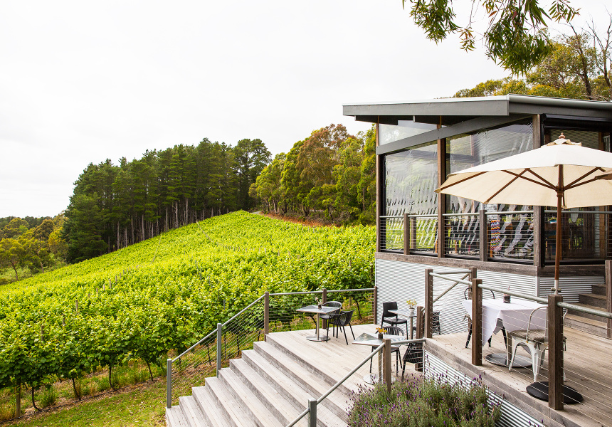 Mt Lofty Ranges Vineyard
