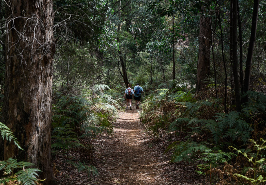 Bookmark This: Where to Stroll and Stop in the Mount Buffalo Region