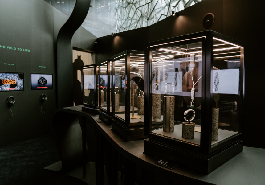 cartier collection ngv