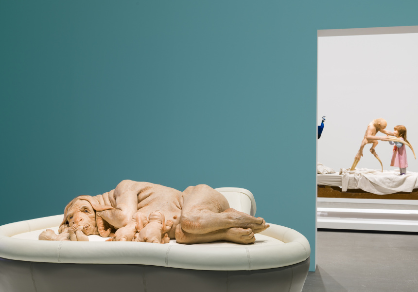 Patricia Piccinini S Curious Affection At Goma