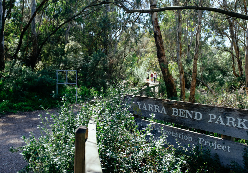 Yarra Bend Park

