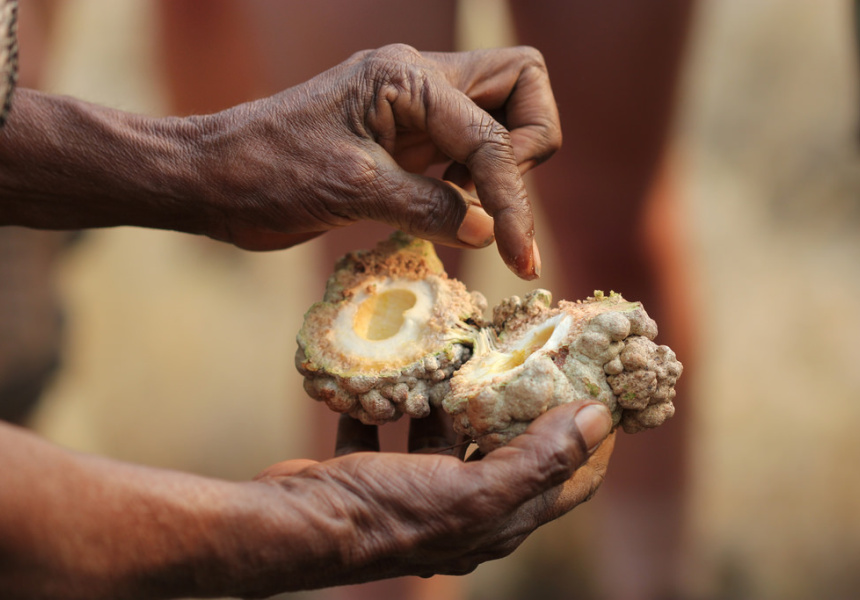 Talk and Tasting The Oldest Foods on Earth