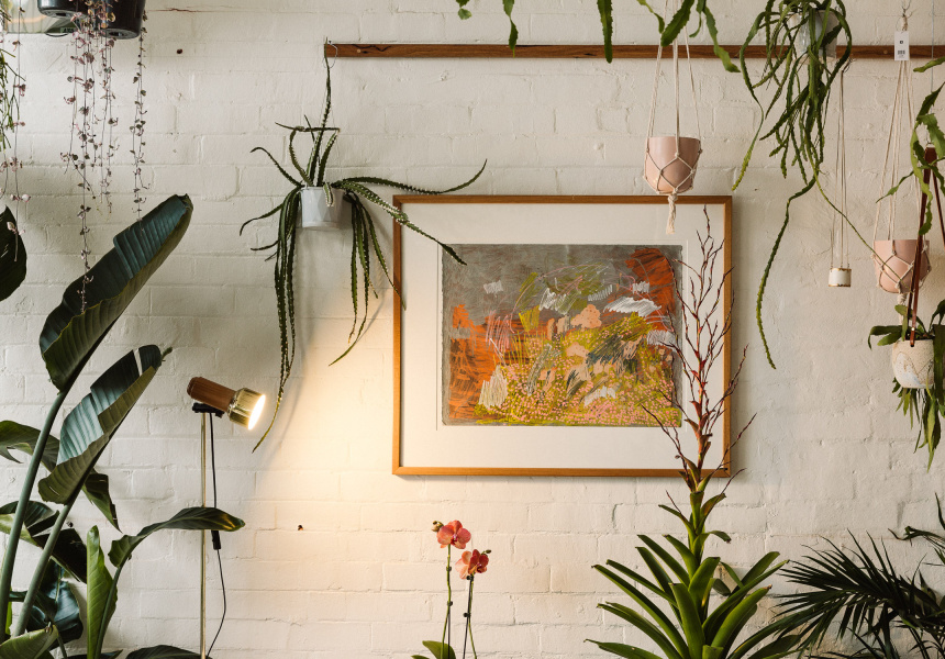 A New Preston Plant Store, Run by a Horticulturalist
