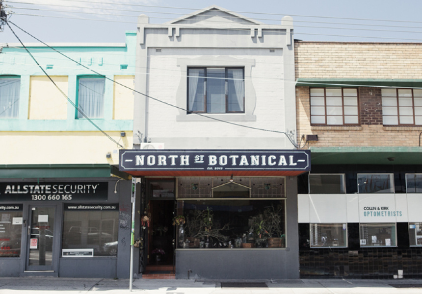 North St Blooms in Thornbury