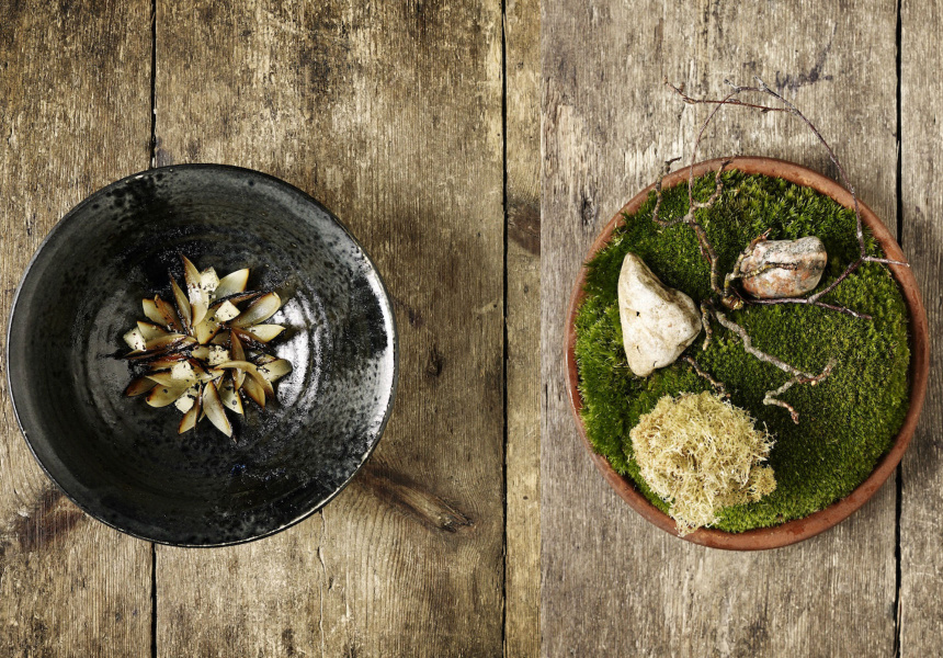 How to Book a Table at Noma Australia