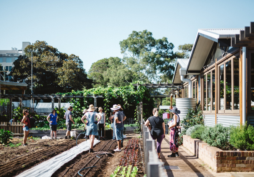 Five Places to Get Greening in Sydney