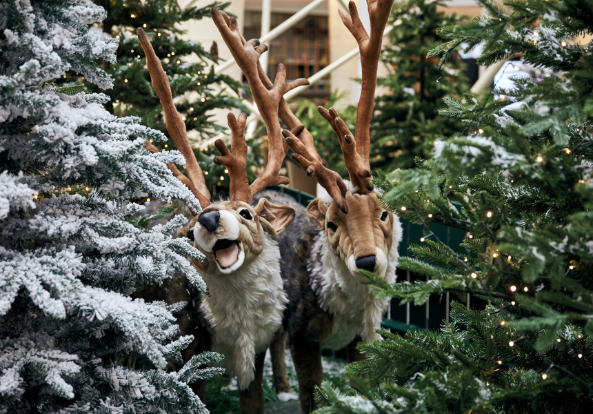 Christmas Season at Chadstone