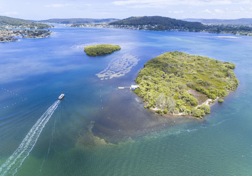 You Can Now Tour NSW’s Only Pearl Farm on a Sailboat