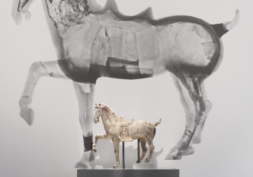 Figure of horse, ceramic, China, T'ang period, 618-906 CE. Powerhouse collection.
