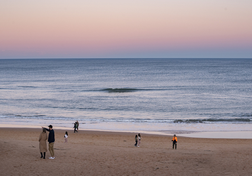 There Are Views for Days at Cook Terrace, a Bar in Mona Vale Surf Life Saving Club’s Stunning New Clubhouse