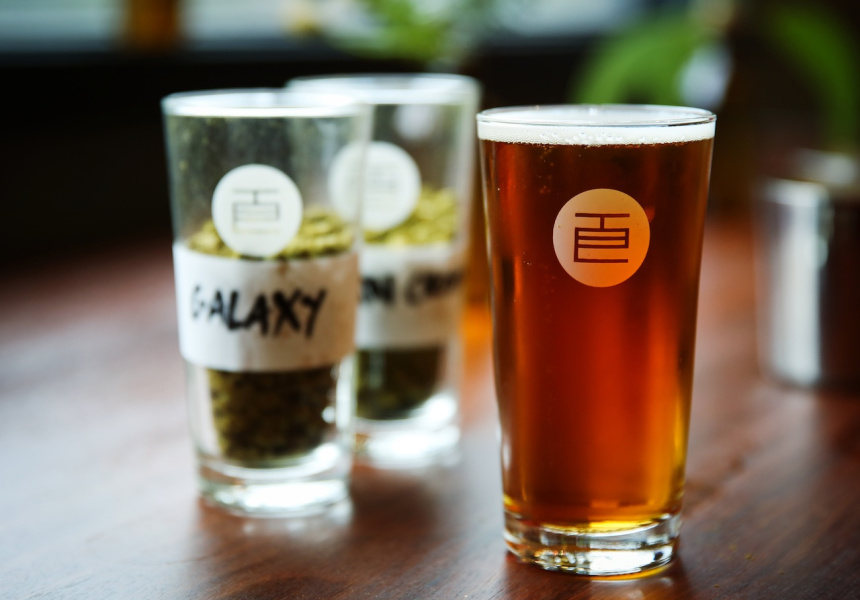 Your Ultimate Guide to Good Beer Week 2015