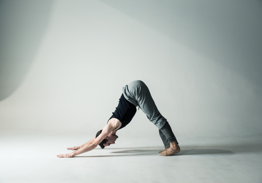 Downward Dog
