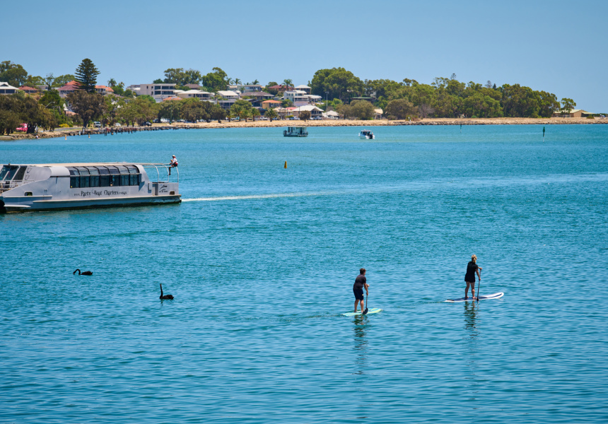 Stand-up paddleboarding in the Peel-Harvey Estuary
