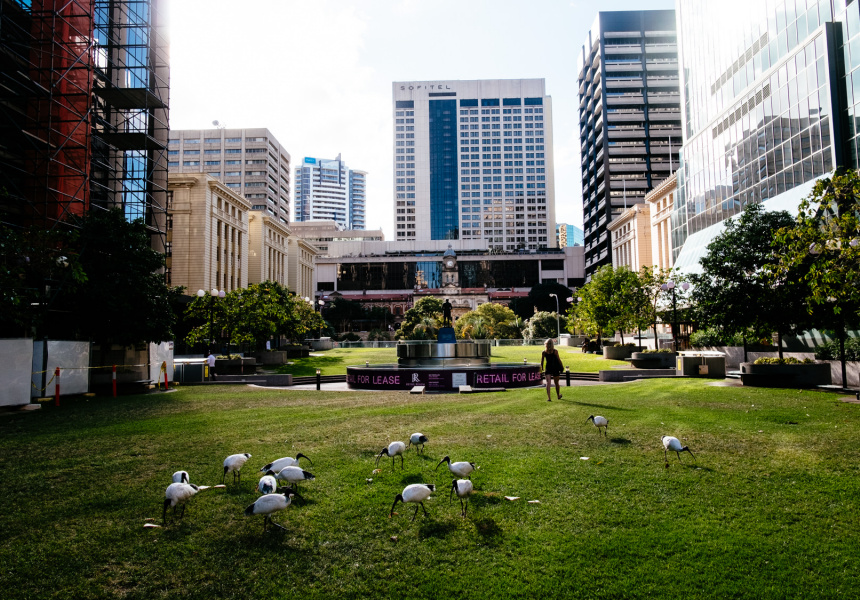 Photo Gallery: Brisbane Captured in the Time of Coronavirus