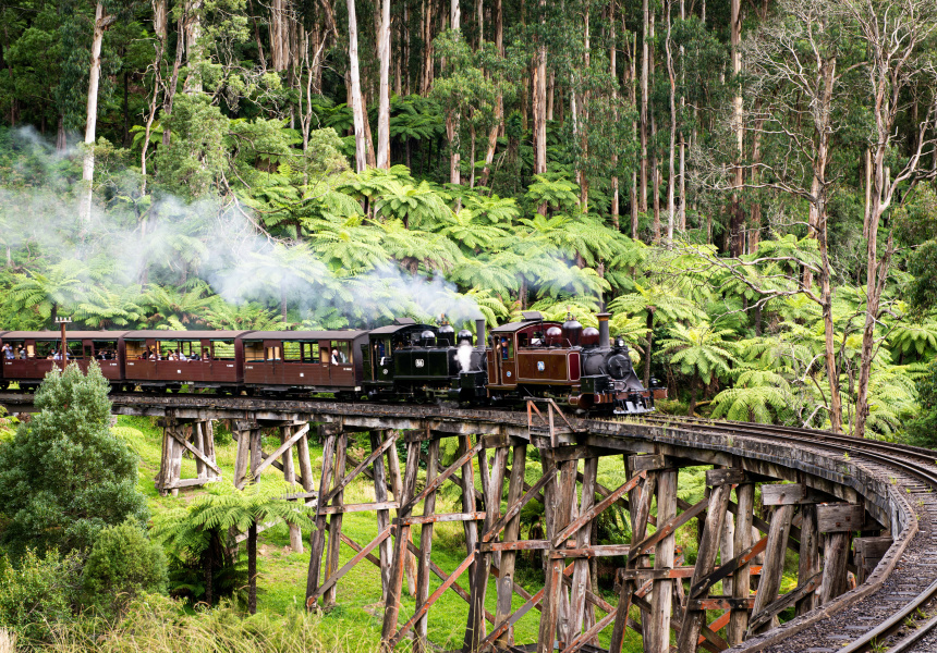 Puffing Billy
