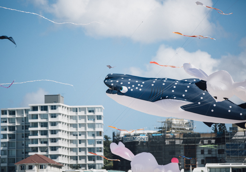 Gallery Festival of the Winds