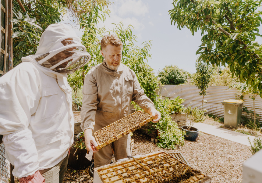 Beekeeping supplies adelaide 