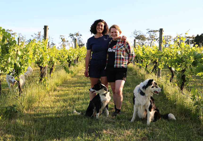 Winemakers Alysha Moscatt and Lucy Kendall with dogs Oli and Winnie

