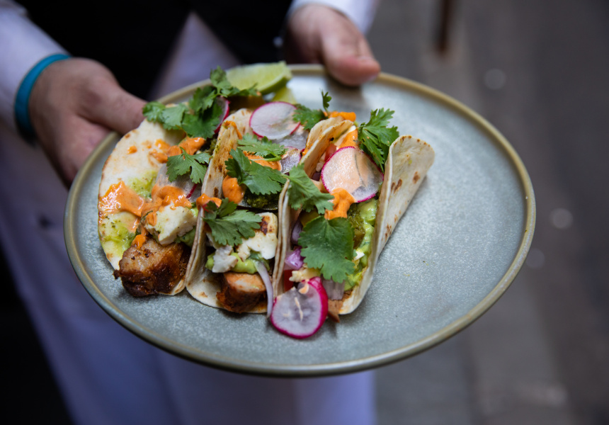 Slow-cooked pork shoulder tacos
