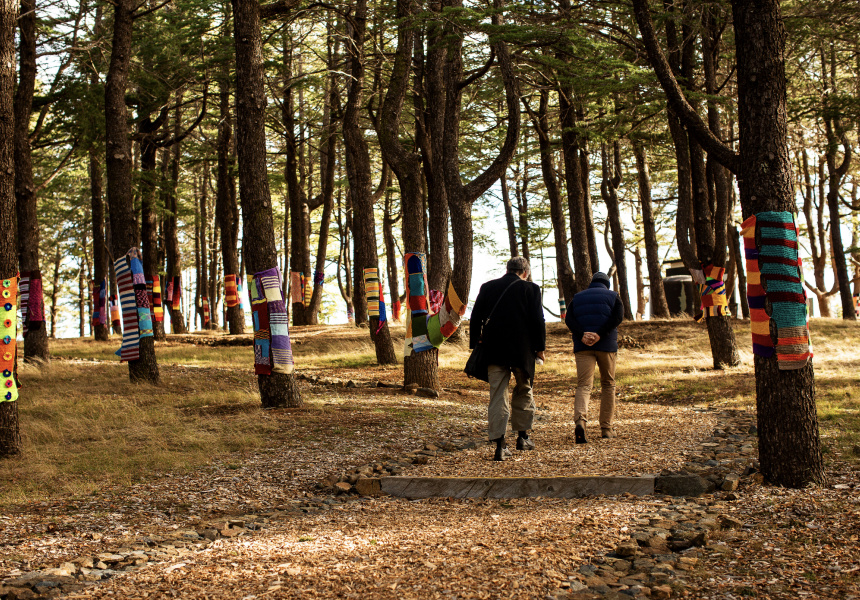 Hikes, Bikes and Outdoor Movies: A Warm-Weather Guide to Canberra