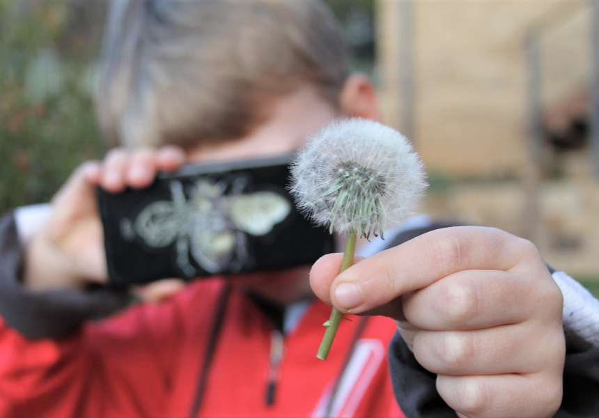 Sydney Science Trail