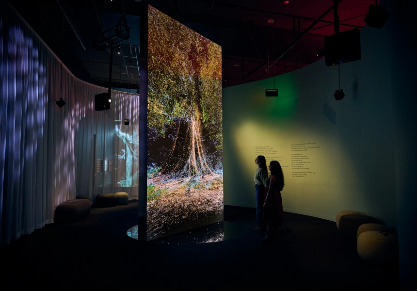 Marshmallow Laser Feast: Works of Nature at ACMI
