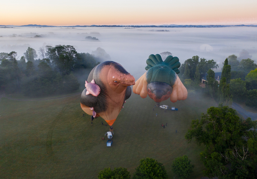 Patricia Piccinini's Skywhales Every Heart Sings