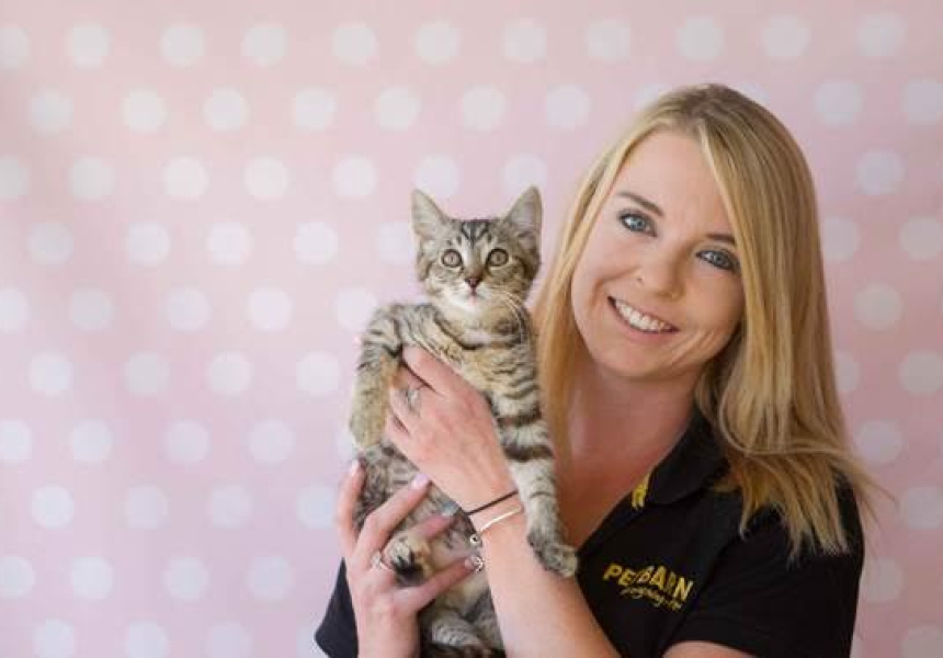 Adopt A Pet InStore at Petbarn