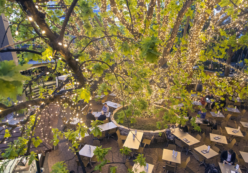 Let the Sun Shine: Sydney’s Best Outdoor Bars