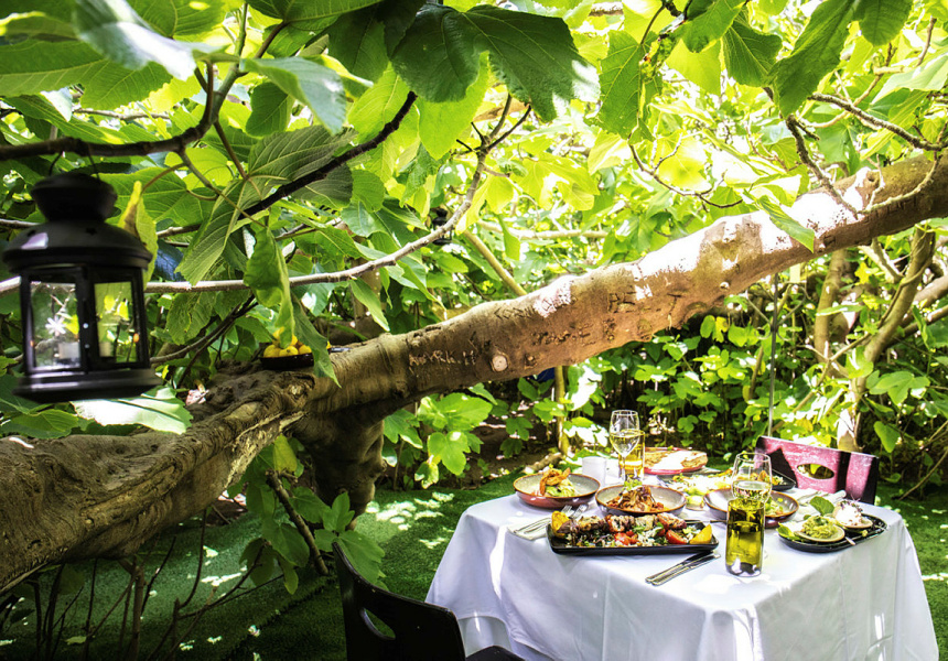 Kangaroo Island’s Enchanted Fig Tree Will Reopen This Summer