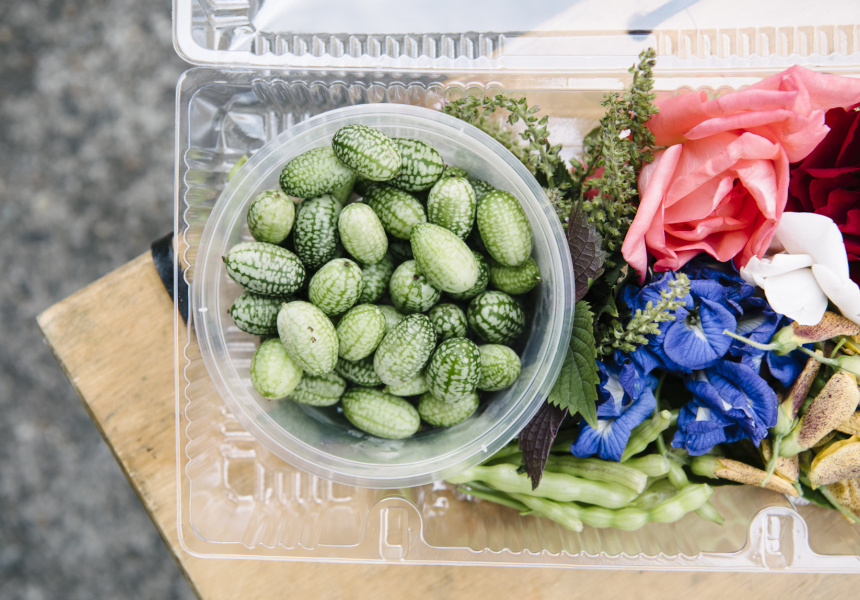 Sunrise Asian Comes to Carriageworks Farmers Markets