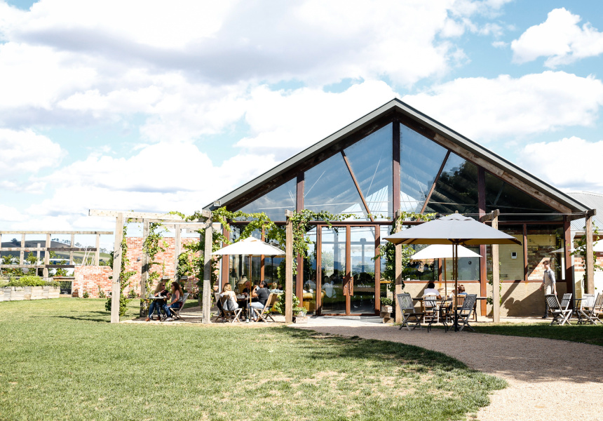 Napoleone Cider Festival