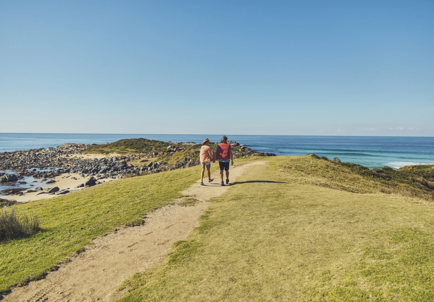 Bingi Dreaming Track, Eurobodalla National Park
