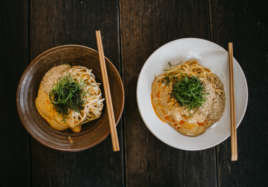 Which Noodle is Right For Which Japanese Dish?
