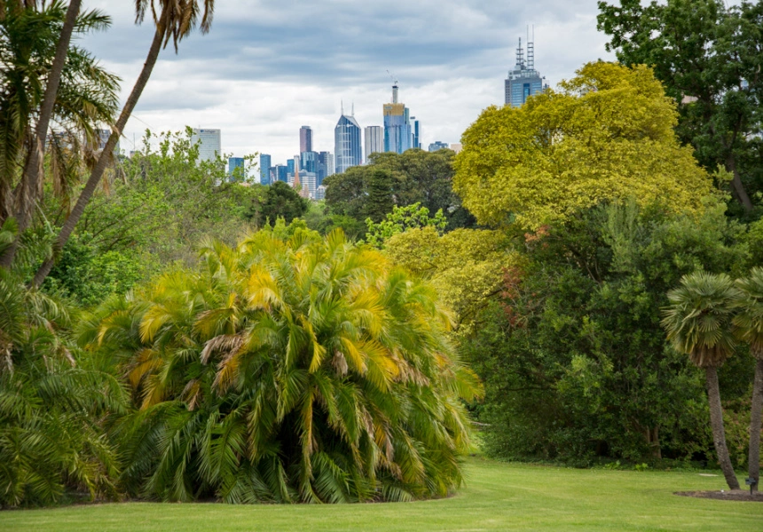 Royal Botanic Gardens
