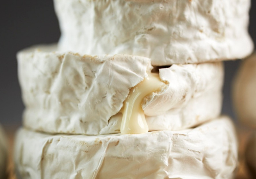 A Huge New Cheese Festival Is Coming to Brisbane