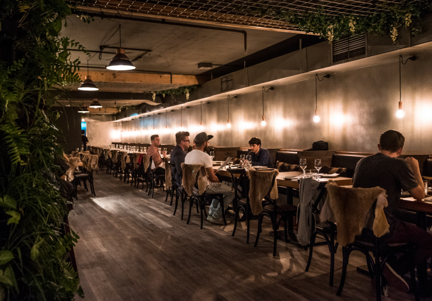 Are Sydney Diners Ready to Eat Like Vikings?