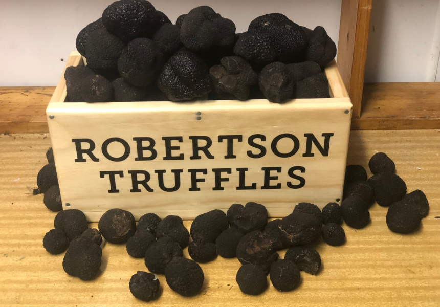 Go Truffle Hunting on a Lush Farm in the Southern Highlands