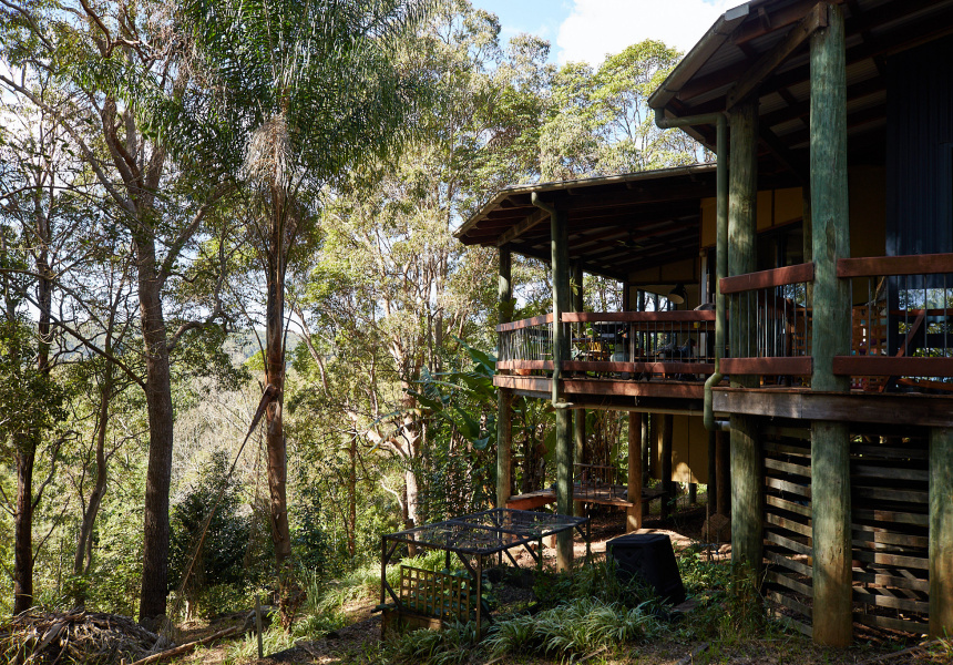 Home Visit: A Light-Filled Family Treehouse in the Noosa Hinterland