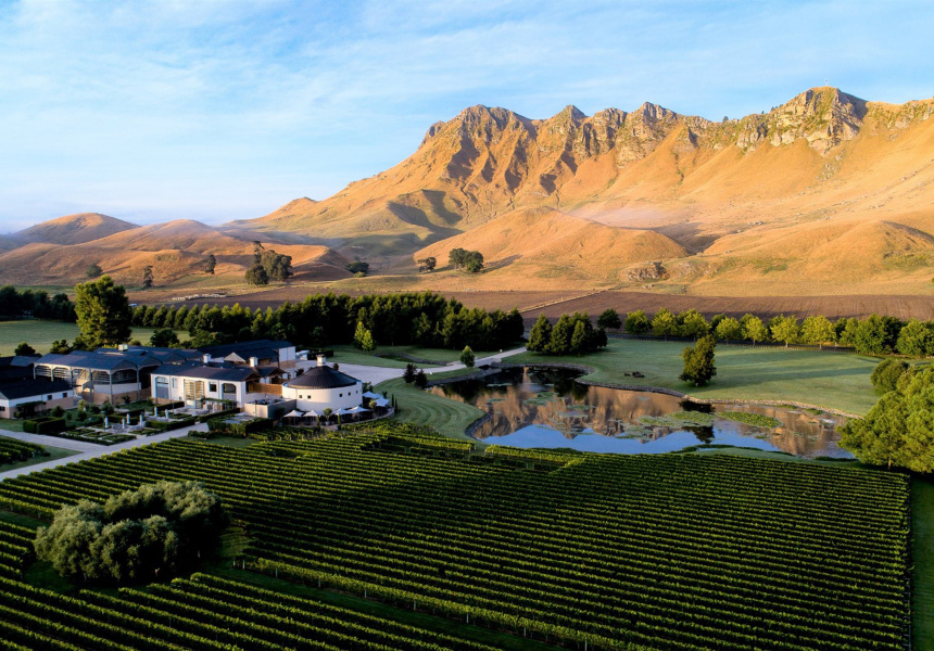 A Guide to the Best Wineries in Hawke s Bay