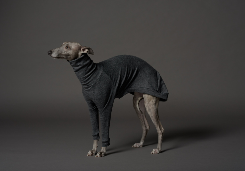 whippet coats melbourne