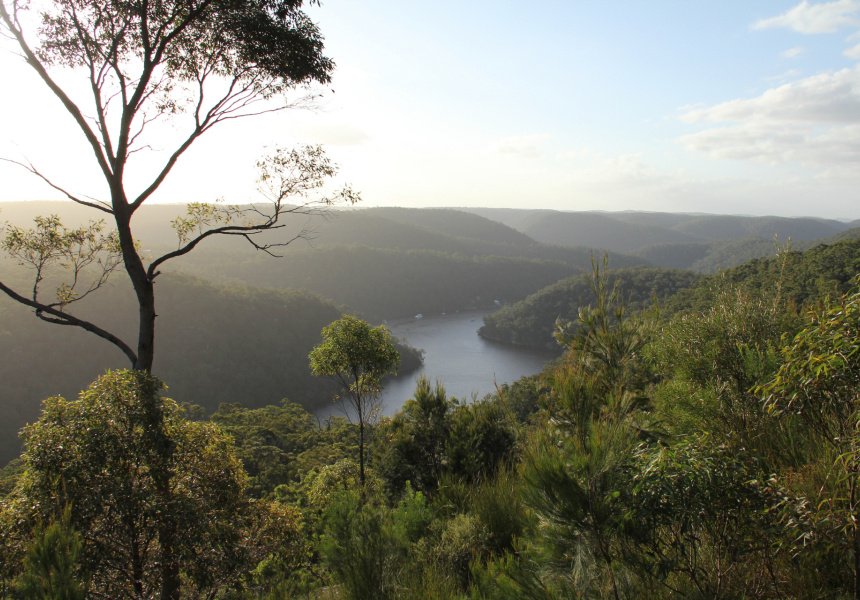 Barnetts lookout, Berowra Valley National Park
