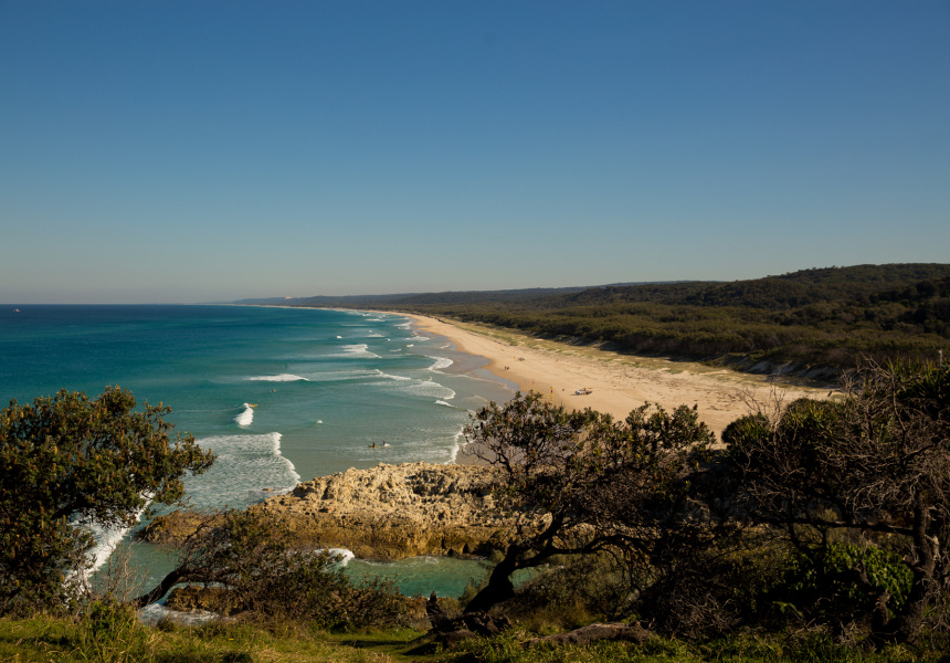 are dogs allowed on stradbroke island