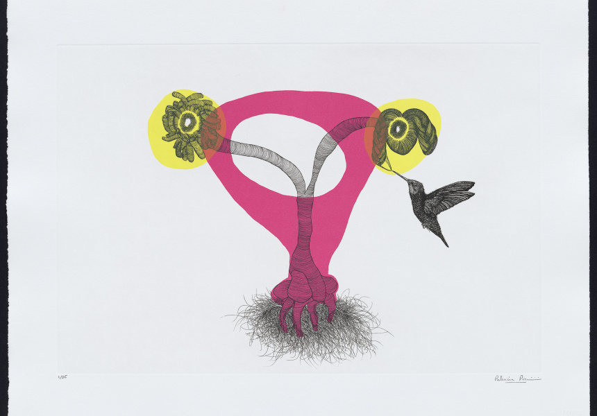 Patricia Piccinini, The Weavers’ Suite (pink yellow) 2018 etching and colour lithograph, ed. 1/25 36.5 x 42.9 cm irreg. (image)
43.5 x 63.7 cm (plate)
57.2 x 76.1 cm (sheet)
printed by Martin King at Australian Print Workshop, Melbourne Co-commissioned by the National Gallery of Victoria and the Australian Print Workshop. Victorian Foundation for Living Australian Artists, 2021
© Patricia Piccinini
