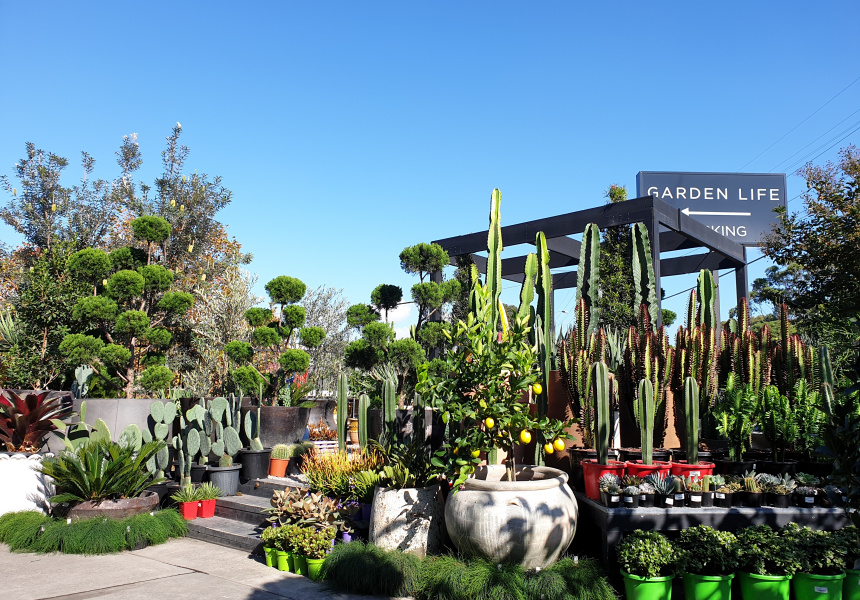 Garden Life Summer Sale