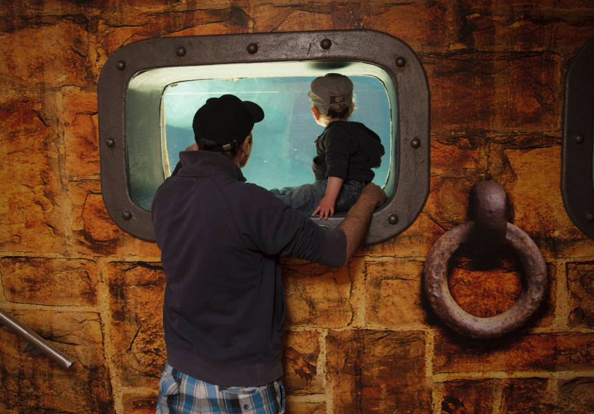 After 54 Years, Manly Sea Life Aquarium to Close in Two Weeks