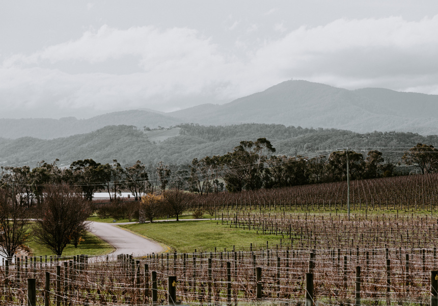 The Yarra Valley

