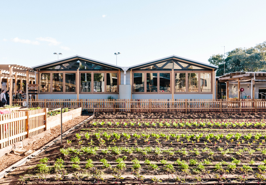 Harvest at Camperdown Launches This Weekend