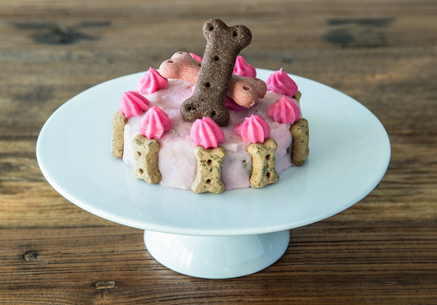 An Online Bakery Delivery Service For Dogs Launches
