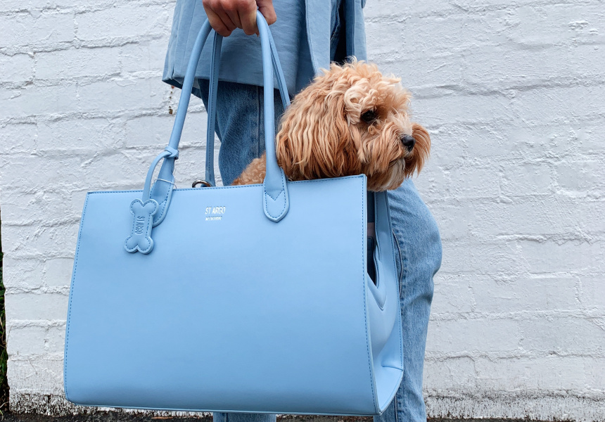 Leather 2024 dog bag